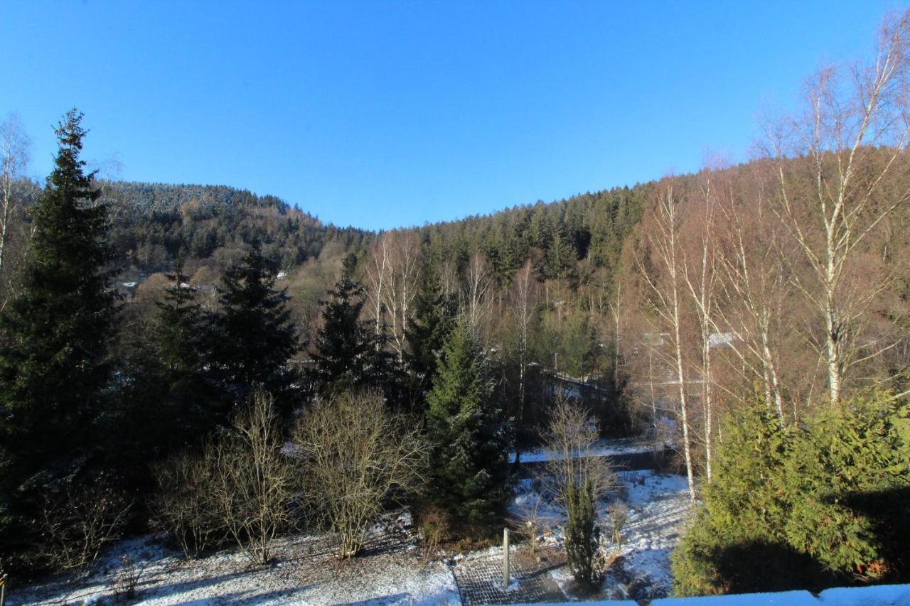 Home-Im-Harz Лаутентхаль Экстерьер фото